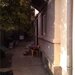 13 Septembrie, strada Cenad.